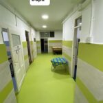 84349289_497883150920738_4937838159779069952_n